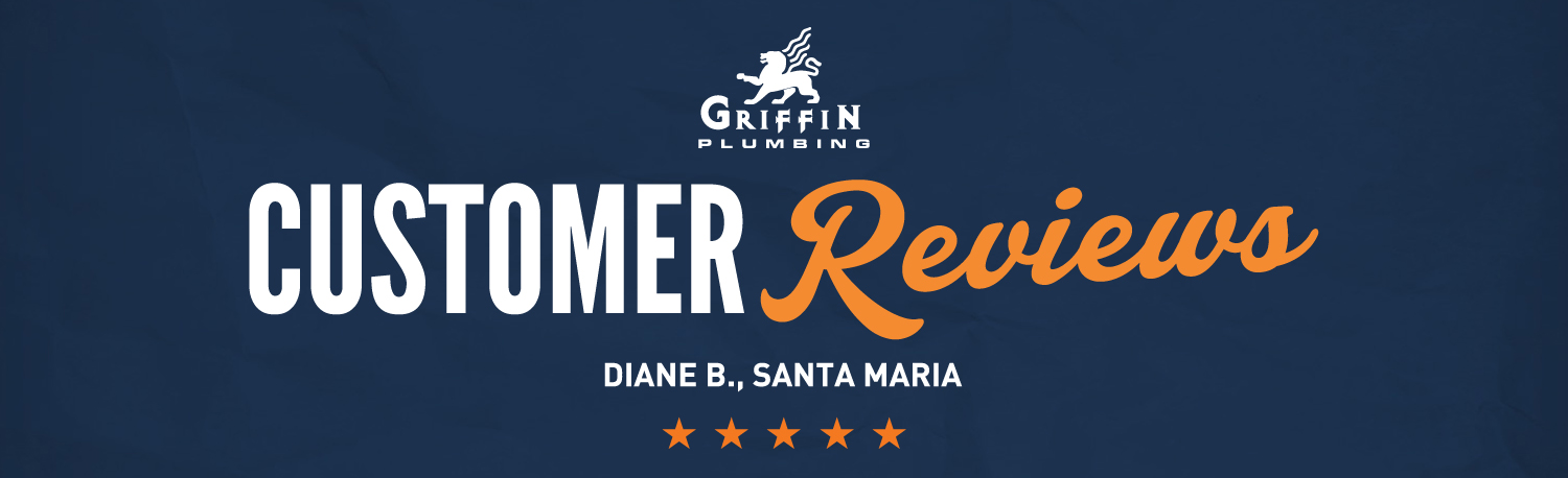 Featured image for “Griffin Plumbing – Featured Customer Review Video – Diane B.”