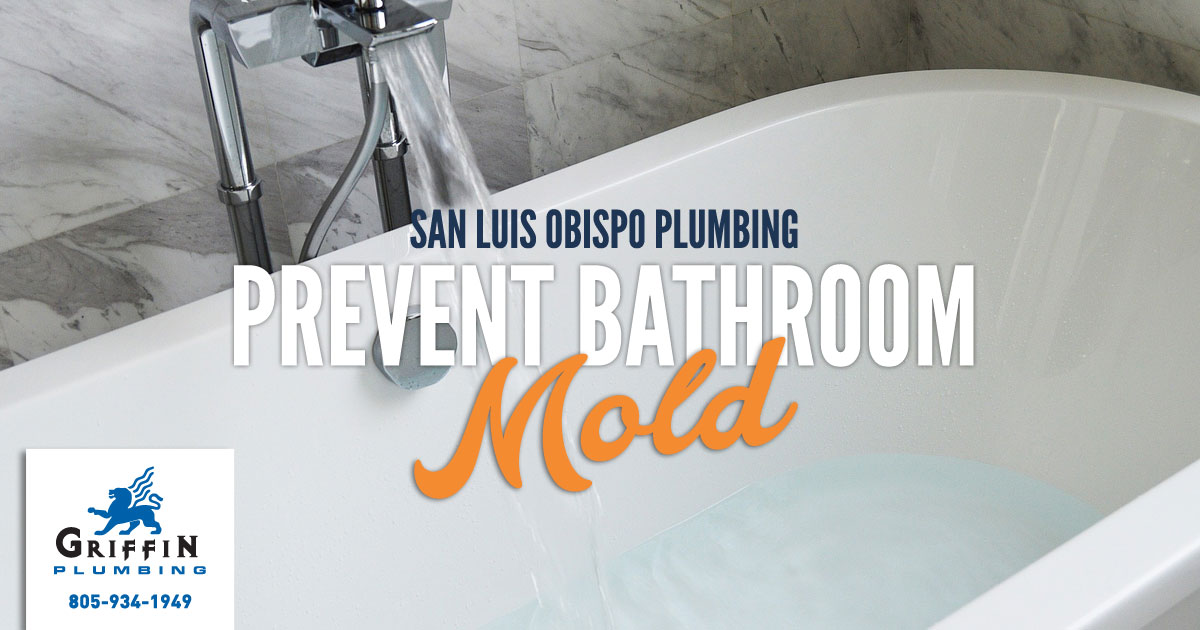 Featured image for “SLO Plumbing: Prevent Bathroom Mold”