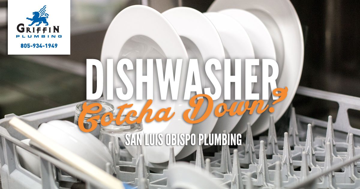 Featured image for “San Luis Obispo Plumbing: Dishwasher Gotcha Down?”