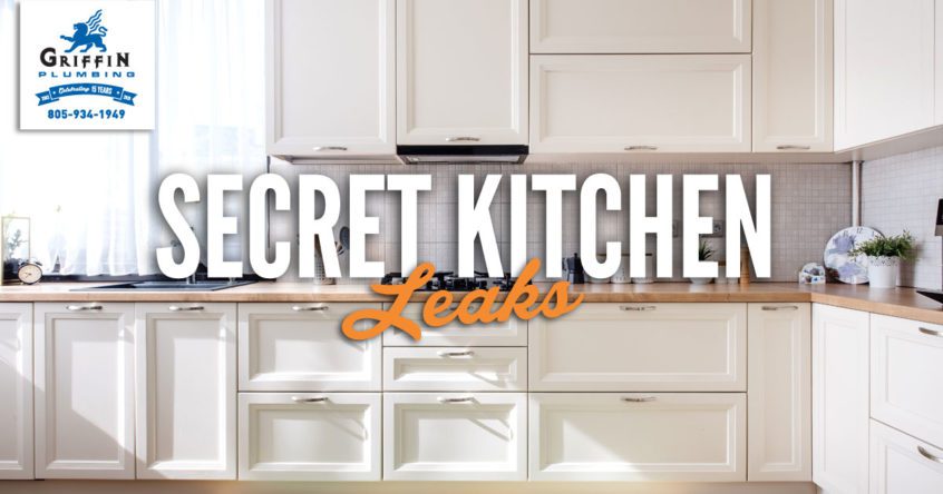 Secret Kitchen Leaks