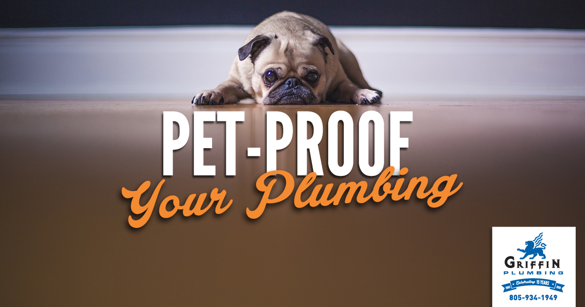 Cute Pug Pet Proof your plumbing
