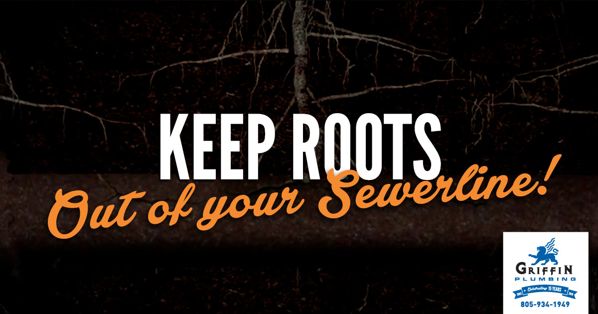 How to Keep Roots From Clogging Your Sewer Line - Griffin Plumbing, Service Line Replacement