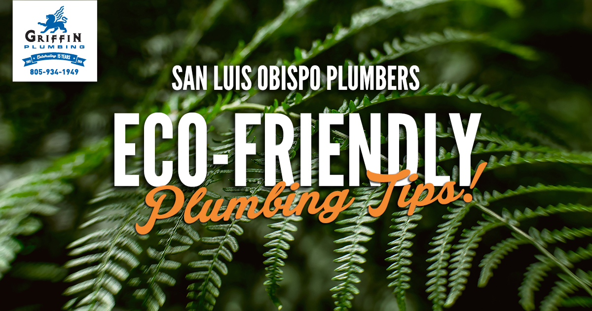 Featured image for “Eco-Friendly Plumbing Tips”
