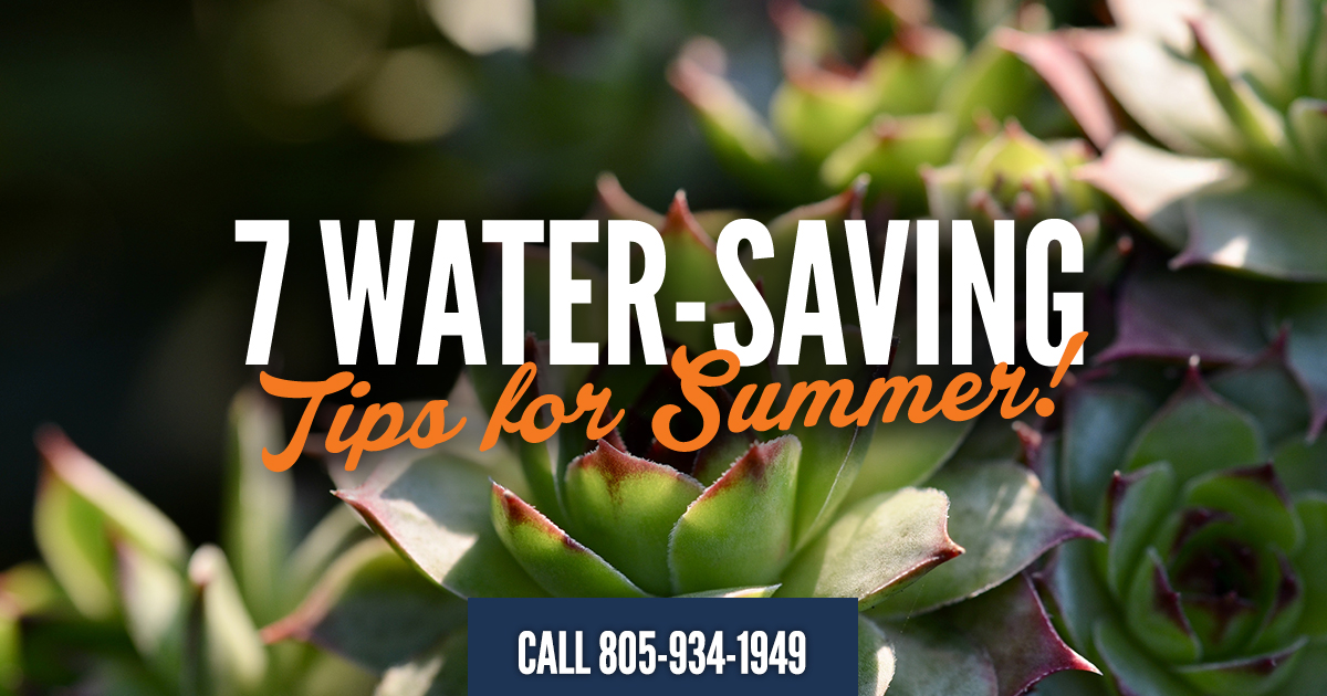 7 Water-Saving Tips for Summer!