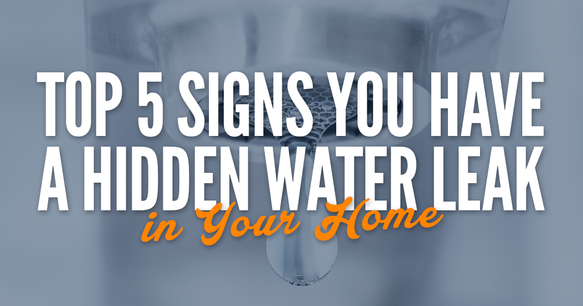 Featured image for “Top 5 Signs You Have a Hidden Water Leak in Your Home”