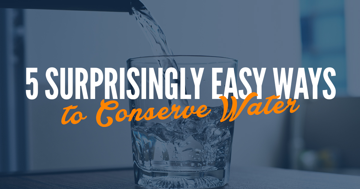 Featured image for “5 Surprisingly Easy Ways to Conserve Water”