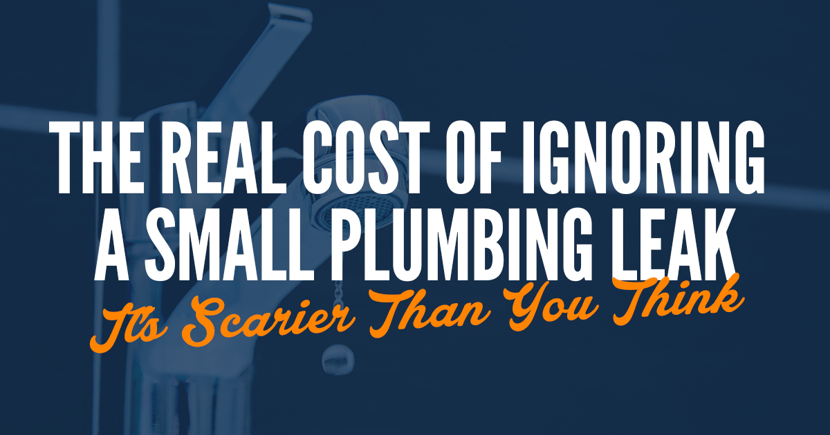 Featured image for “The Real Cost of Ignoring a Small Plumbing Leak (It’s Scarier Than You Think)”