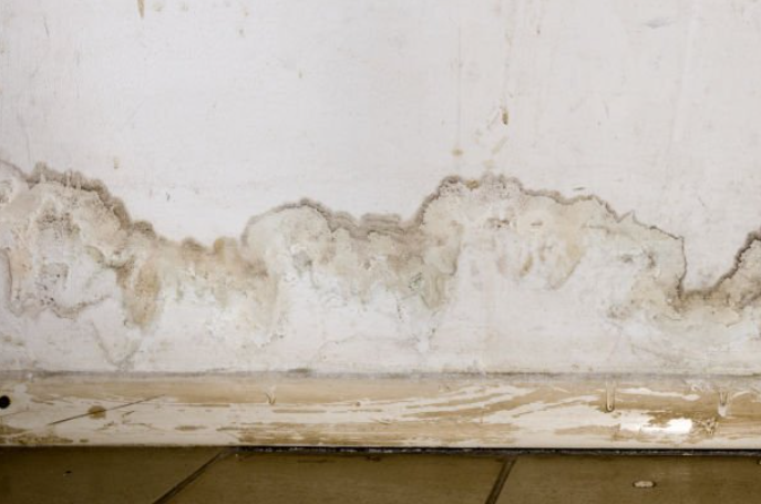 Featured image for “Signs You May Have a Hidden Leak Under Your Foundation”
